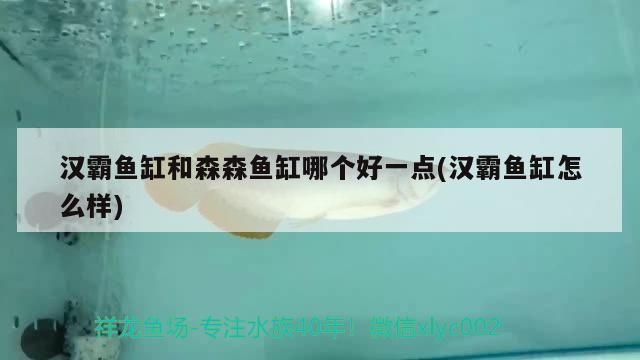 漢霸魚缸公司簡介