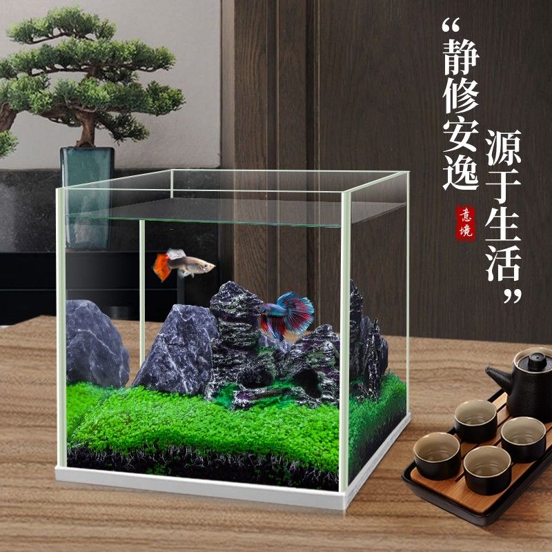 意境魚(yú)缸造景（意境魚(yú)缸造景的日常維護(hù)技巧：意境魚(yú)缸造景的日常維護(hù)技巧） 魚(yú)缸百科 第3張