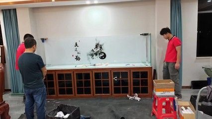 魚店魚缸定制（魚店魚缸定制的詳細信息） 魚缸百科 第1張