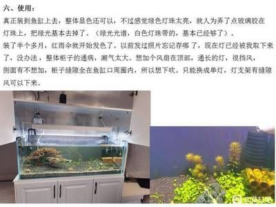 魚缸百度貼吧（魚缸百度貼吧是一個專注于魚缸交流平臺的交流平臺） 魚缸百科 第4張