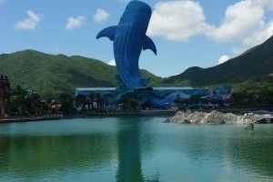 長隆有水族館嗎（探索長隆海洋王國的水族館） 水族館百科（水族館加盟） 第1張