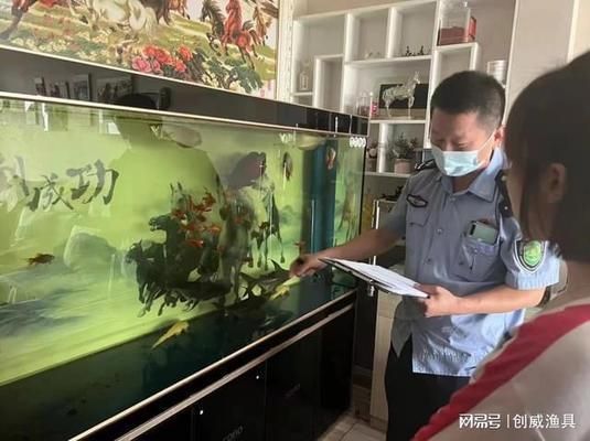 金龍魚沈陽總代理地址（金龍魚沈陽總代理） 水族問答 第2張