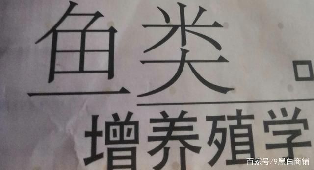 吉安龍魚苗批發(fā)市場(chǎng)在哪里（關(guān)于吉安龍魚苗批發(fā)市場(chǎng)的問題） 水族問答 第2張