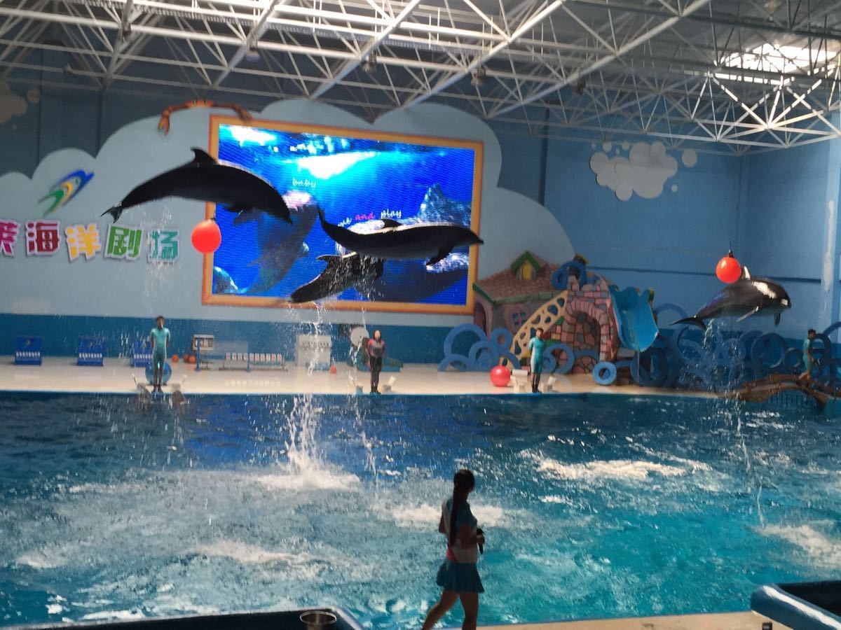 水族館有什么好玩的（水族館親子互動(dòng)項(xiàng)目介紹） 水族館百科（水族館加盟） 第3張