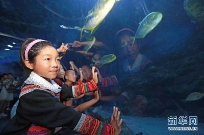 涼山彝族自治州水族館（涼山彝族自治州） 全國觀賞魚市場 第3張