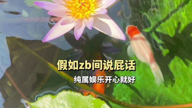 1米長(zhǎng)的金龍魚值多少（1米長(zhǎng)的金龍魚因其稀有性和健康狀況以及市場(chǎng)需求等因素） 水族問答 第1張