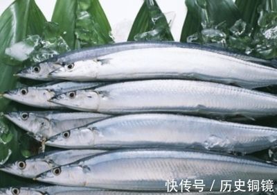 20公分左右的龍魚喂什么飼料長(zhǎng)得快（養(yǎng)龍魚需要注意哪些事項(xiàng)？） 水族問答 第2張