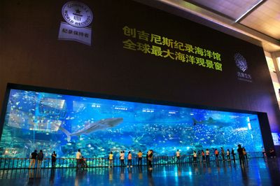 水族館什么意思（水族館不僅是欣賞美麗水生生物的好地方，也是一個(gè)重要的教育項(xiàng)目） 水族館百科（水族館加盟） 第2張