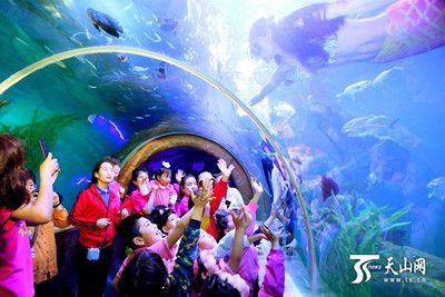 水族館有什么工作內(nèi)容（水族館環(huán)境維護(hù)的創(chuàng)新方法,）