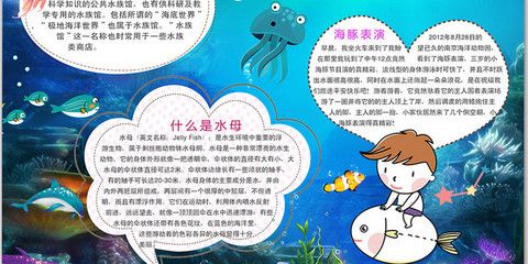 水族館店鋪介紹語：水族館寵物養(yǎng)護(hù)知識,