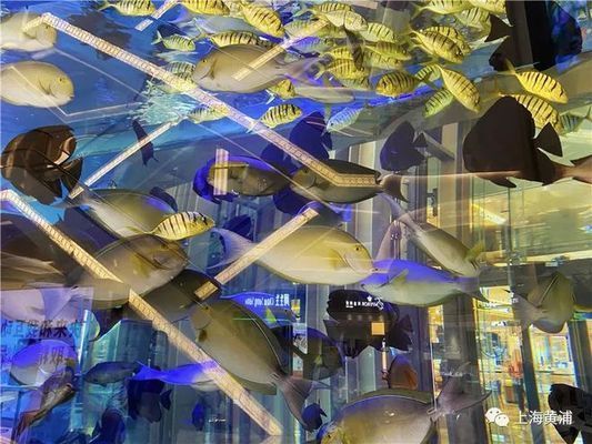 有水族館的商場(chǎng)：水族館的發(fā)展 水族館百科（水族館加盟） 第3張