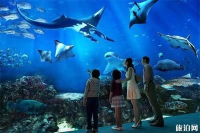 全國(guó)水族館排行2020：海昌海洋公園游玩攻略