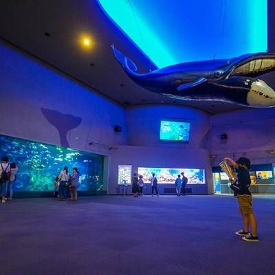 全國(guó)水族館排行2020：海昌海洋公園游玩攻略