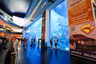 全國(guó)水族館排行2020：海昌海洋公園游玩攻略