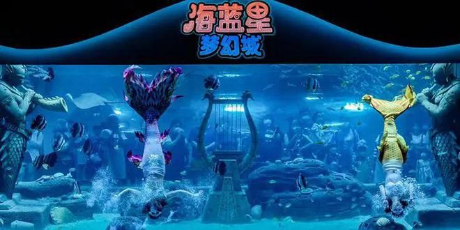 水族館店面：上海海洋水族館的互動(dòng)項(xiàng)目介紹壽光珊瑚水族館的營(yíng)業(yè)時(shí)間查詢 水族館百科（水族館加盟） 第1張