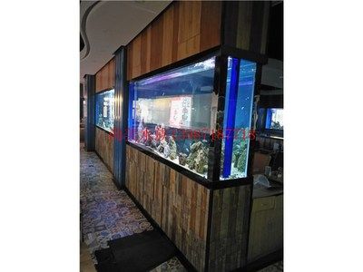 曲靖水族批發(fā)市場：曲靖市魚缸批發(fā)市場 全國觀賞魚市場 第3張