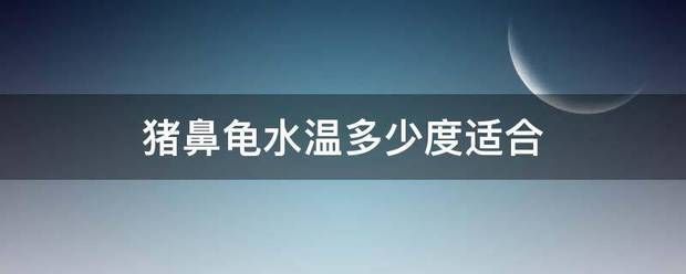 豬鼻龜適應(yīng)的水溫和溫度：豬鼻龜?shù)娘曫B(yǎng)方法 豬鼻龜百科 第10張