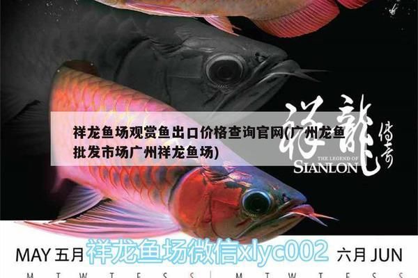 祥龍魚場最新報價官網(wǎng)入口：祥龍魚場最新養(yǎng)殖技術(shù)