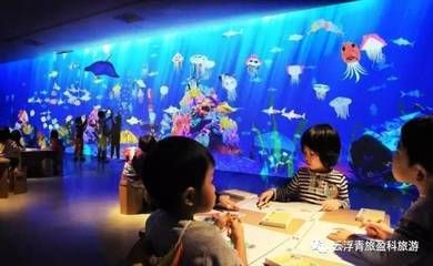 云浮水族館：云浮市云城區(qū)特色水族館 全國(guó)觀賞魚(yú)市場(chǎng) 第1張