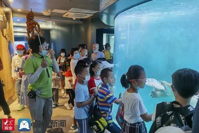 水族館里面有什么：水族館展示海洋哺乳動(dòng)物的絕佳場(chǎng)所 水族館百科（水族館加盟） 第5張