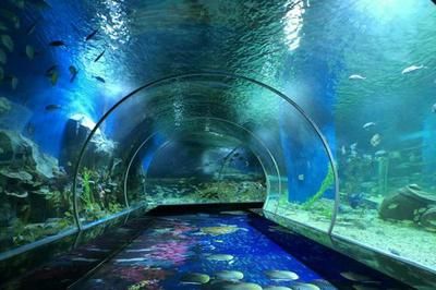 佛山水族館：佛山市昊麗水族館