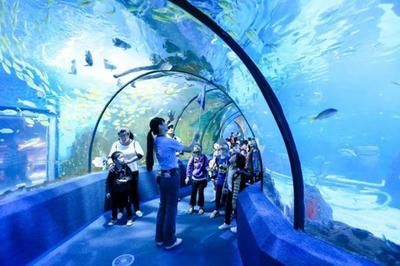 佛山水族館：佛山市昊麗水族館