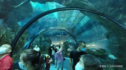 佛山水族館：佛山市昊麗水族館