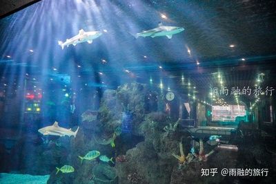 開水族館掙錢嗎知乎：水族館經(jīng)營盈利情況探究 水族館百科（水族館加盟） 第3張