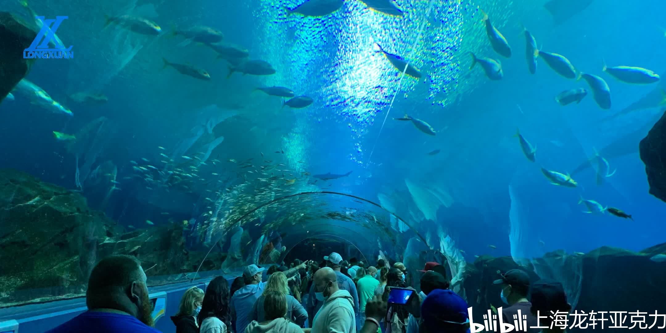 水族館干什么的：水族館是一個多功能的場所 水族館百科（水族館加盟） 第1張