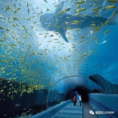 水族館干什么的：水族館是一個多功能的場所 水族館百科（水族館加盟） 第2張