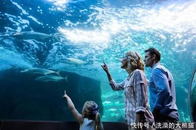 水族館干什么的：水族館是一個多功能的場所 水族館百科（水族館加盟） 第3張