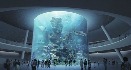 深圳水族館：深圳有什么海洋館 全國(guó)觀賞魚(yú)市場(chǎng) 第1張