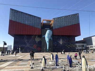 保山水族館：保山水族館史前青蛙真能吃掉恐龍，澳大利亞阿德萊德大學(xué)家發(fā)現(xiàn) 全國觀賞魚市場 第1張