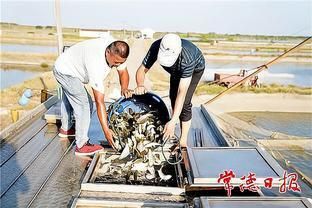 地圖和銀龍魚混養(yǎng)怎么喂食：銀龍魚與地圖魚混養(yǎng)時需注意兩者的水質(zhì)要求和性格匹配 水族問答 第2張