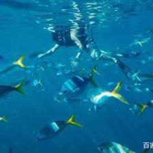 水族館店名稱大全四個字的名字：四個字的水族館名稱及其詳細說明 水族館百科（水族館加盟） 第3張