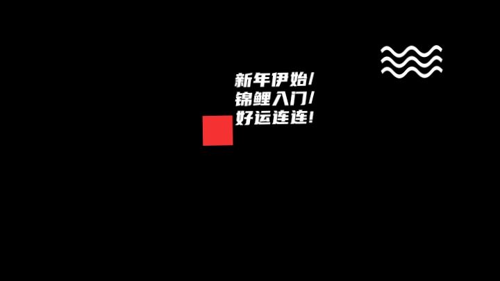 新年伊始，錦鯉入門，好運(yùn)連連：新年伊始，錦鯉入門，好運(yùn)連連、事業(yè)有成，昭和與紅白兩位小伙伴 觀賞魚論壇 第1張