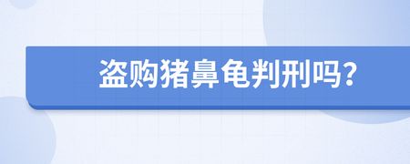 買豬鼻龜判刑：買賣豬鼻龜判刑么