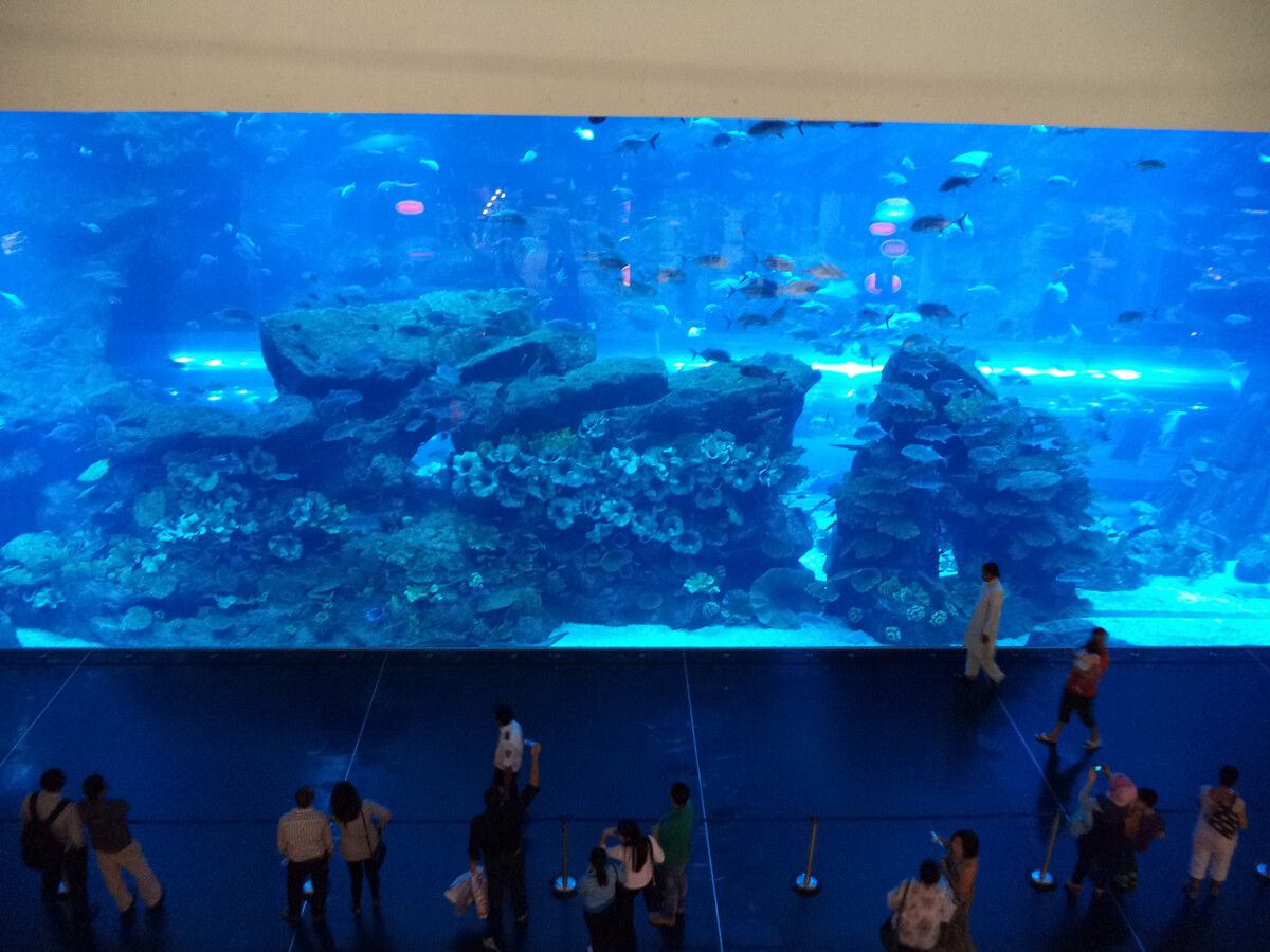 高陵水族館：世界上最大的水族館之一高陵哪里有水族館