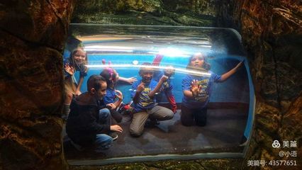 水族館是干什么的呢：水族館主要功能和作用 水族館百科（水族館加盟） 第4張