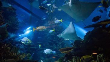 保定水族館：保定旅游攻略保定水族館