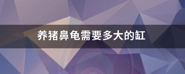 養(yǎng)一只豬鼻龜需要多大的缸：養(yǎng)豬鼻龜需要多大的飼養(yǎng)豬鼻龜需要考慮其成長潛力和生活習慣 豬鼻龜百科 第9張