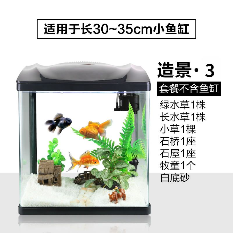 20cm金龍魚一天喂幾次飼料：20cm金龍魚每天的飼料喂養(yǎng)次數(shù)和量需根據(jù)其成長階段進行適當調(diào)整 水族問答 第1張