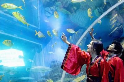 水族館怎么建的：水族館建設(shè)需要考慮多種因素和吸引游客并教育水族館建設(shè) 水族館百科（水族館加盟） 第2張