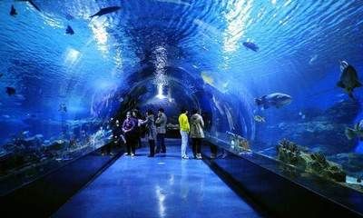 水族館怎么建的：水族館建設(shè)需要考慮多種因素和吸引游客并教育水族館建設(shè) 水族館百科（水族館加盟） 第5張