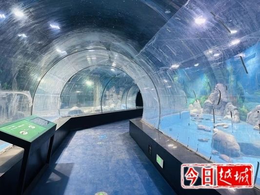 水族館開門了嗎最近：上海水族館開放狀態(tài)調(diào)查：2024年8月份正式對(duì)外開放 水族館百科（水族館加盟） 第3張