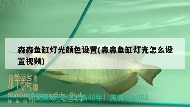 森森魚缸燈光怎么設置視頻：森森魚缸燈光怎么設置 魚缸百科 第3張