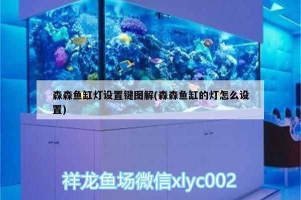 森森魚缸燈光怎么設置視頻：森森魚缸燈光怎么設置 魚缸百科 第5張