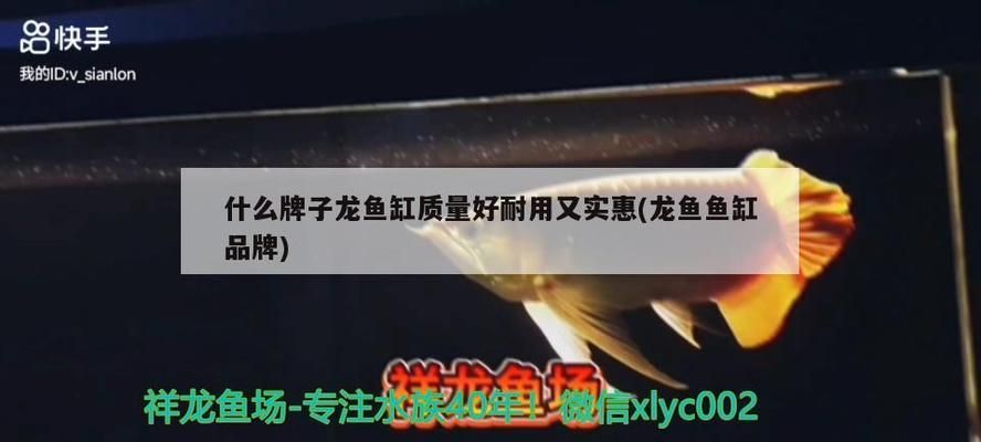 龍魚缸什么牌子最好：優(yōu)質(zhì)龍魚缸品牌及其詳細(xì)信息森森sunsun魚缸品牌推薦