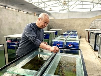 伊犁哈薩克自治州水族館：伊犁哈薩克自治州年年有魚水族館