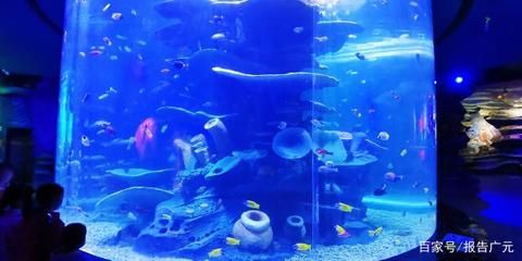 廣元水族館：四川省廣元水族館位于四川省廣元水族館附近的水上樂園